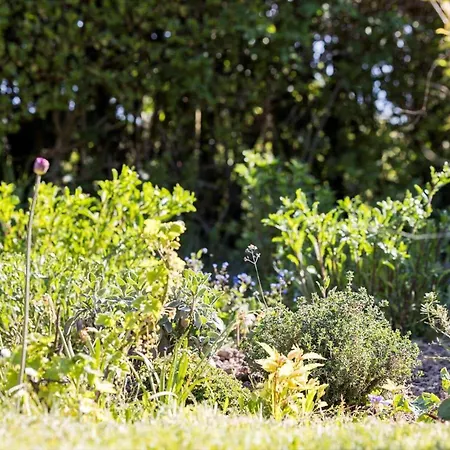 Nyaraló 6783-allinge-lundegardsvej-12 Allinge-Sandvig